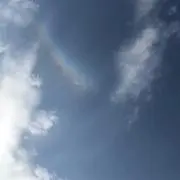 どりあの画像