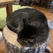 ま〜ちゃん