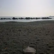 かつお