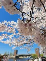 さな。の画像