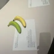あねくんの画像