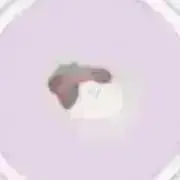 【簡易包装】の画像