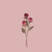Aの画像