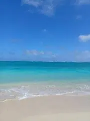 Mahalo～の画像