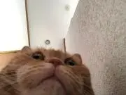 えいきちの画像