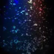 ららら