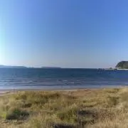としの画像
