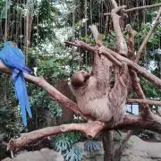 namakemonoの画像