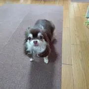 カワシマ