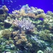 プロフ必読ゆきの画像