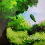 トトロの森の探検隊の画像