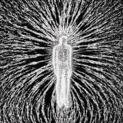 2006の画像