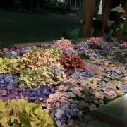 しんの画像