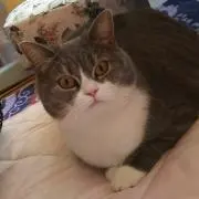 春※プロフィール必読