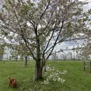 uniko☺︎の画像