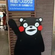 まきちゃんの画像