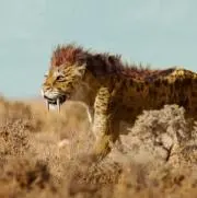 とろろ