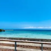 RYUJIの画像