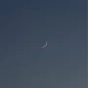 태미.°の画像