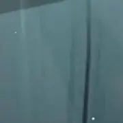 はならびの画像