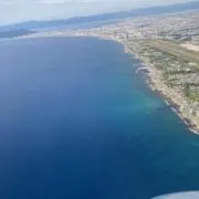 のりの画像