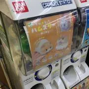 Youhei