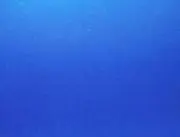 BLUE☆プロフ必読☆の画像