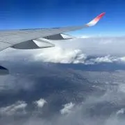 やいろんの画像