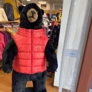 しおぱんの画像