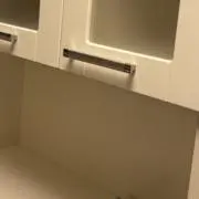 ほねはなの画像