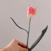 ちゅうりっぷの画像