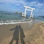 ばにらの画像