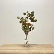 ゆもちゃの画像