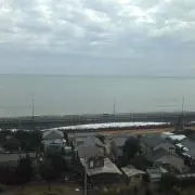 キャベツ太郎
