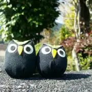 トコロ