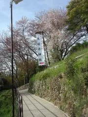 El'υbiqueの画像