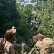 ほぶたろう【即購入OK!】の画像