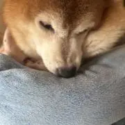 はなママ