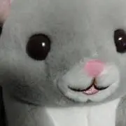 鹿せんべいの画像