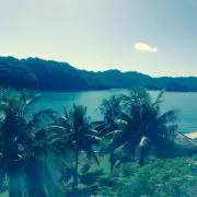 ぱうの画像