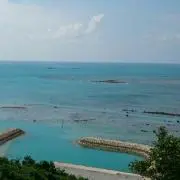 みゆの画像