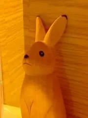 akiの画像