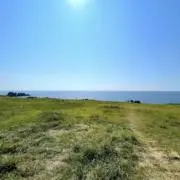 Umiの画像