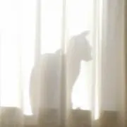 タカティン