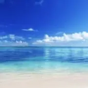 RH2yの画像