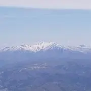 ぱんだの画像