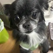なかたくの画像