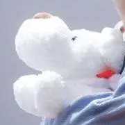 葱の画像