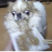 しゅしゅ