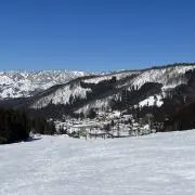 トマトの画像